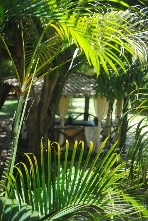Villa Casa Girassois à Praia de Pipa Extérieur photo